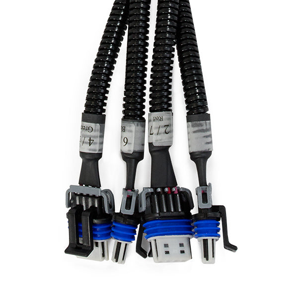 Ignition Coils, GM LS Extension Relocation Harnesses