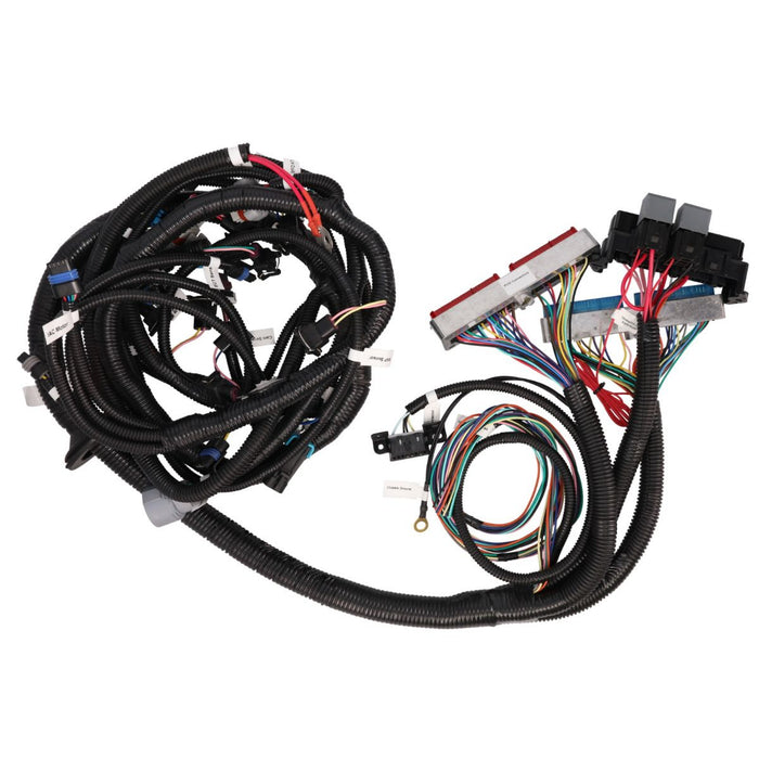 Wiring Harness, GM LS Standalone for Drive-by-Cable LS1 with 4L80E Transmission