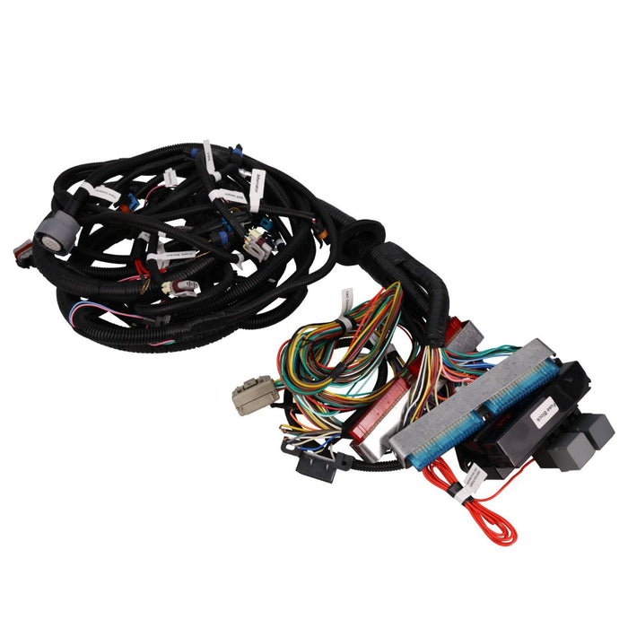 Wiring Harness, GM LS Standalone for Drive-by-Cable LS1 with 4L60E Transmission