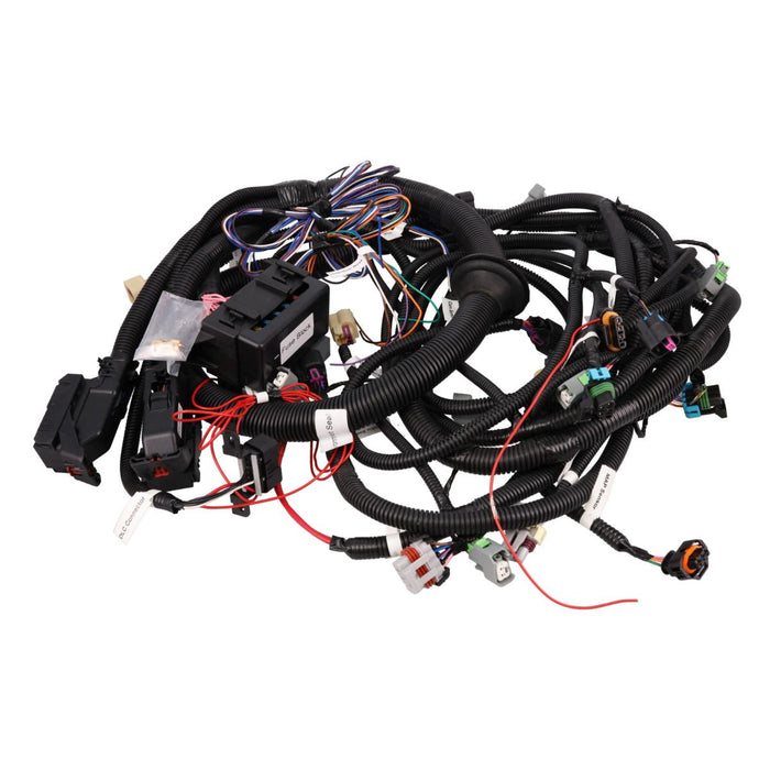 Wiring Harness , GM LS Standalone for Drive-by-Wire LH6/LY5/LMG/LH8 with T56/TR6060 Manual Transmission