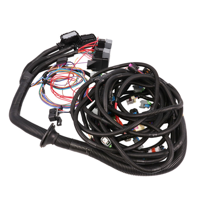 Wiring Harness , GM LS Standalone for Drive-by-Wire LY6/L92 with T56/TR6060 Manual Transmission